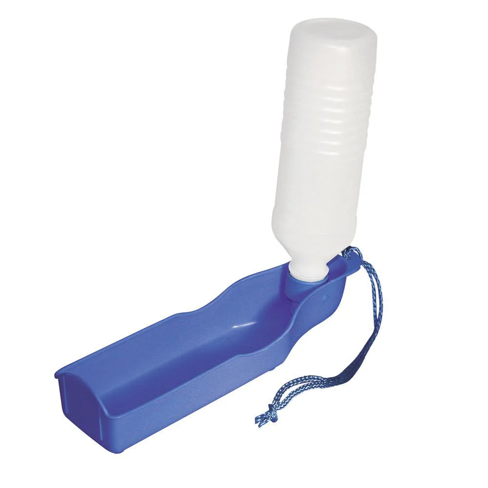 Bolnavă de apă pentru călătorii - 250 ml