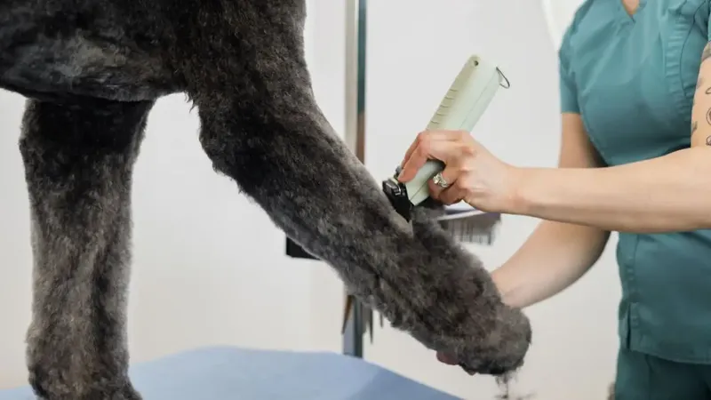 WAHL KMC+ Cordless - Imagine 5