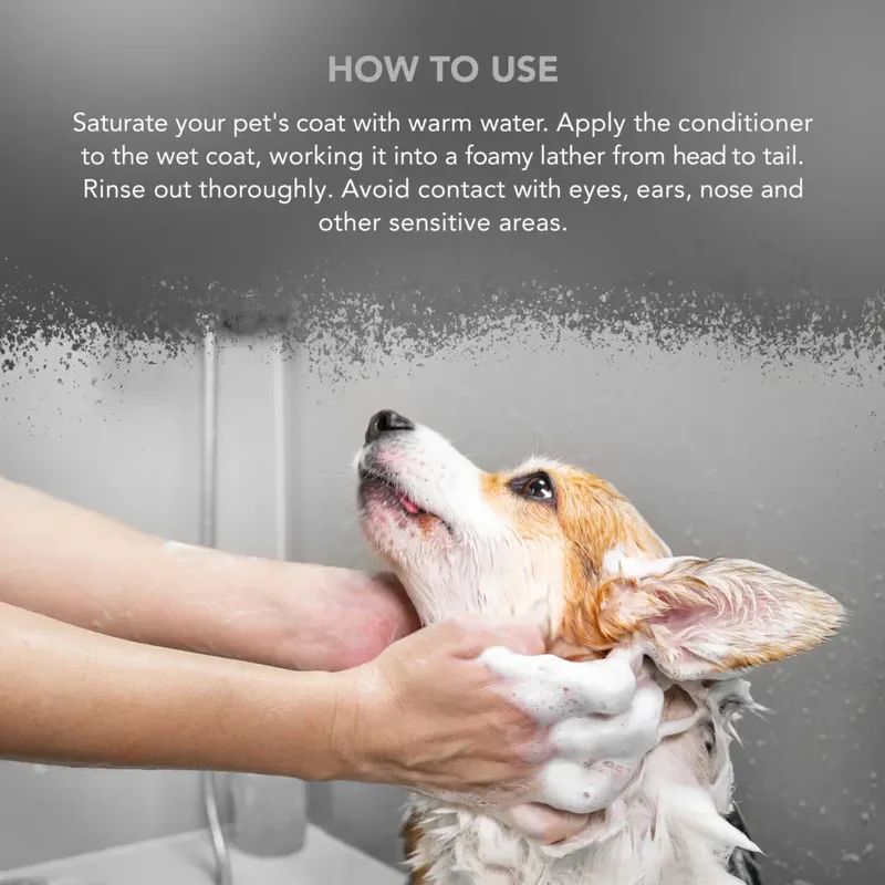 Balsam WAHL Easy Groom - Imagine 2