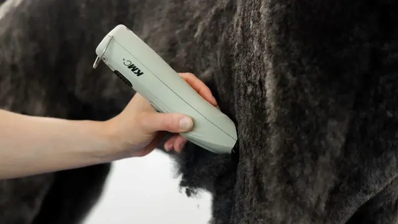 WAHL KMC+ Cordless - Imagine 4