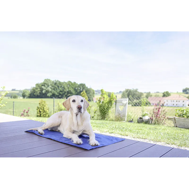 Covoraș de răcire pentru animale Cool-Relax - Imagine 1